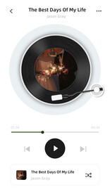 简约韩式唱片转盘婚礼迎宾牌