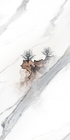 人气 中式意境玄关 Tif分层