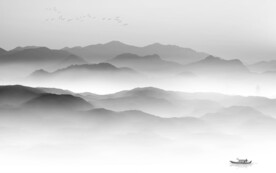 简约 大气灰色山水 TiF分层