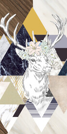 奢雅 北欧高档玄关 TiF分层