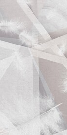 高端 奢华北欧玄关 TIF分层