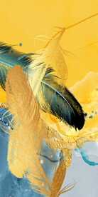 新品 简约北欧玄关 TIF分层