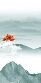 新传 最新高端玄关 TiF分层