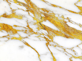 清晰 新高档鱼肚白 TIF合层