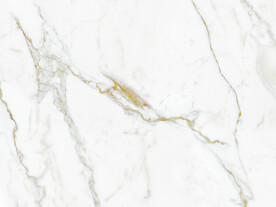 人气 新高档鱼肚白 TIF合层