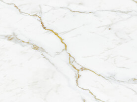 爆款 新金线鱼肚白 tIF合层