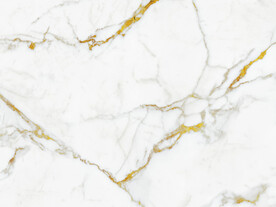 新款 新金线鱼肚白 tIF合层