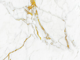 最新金线鱼肚白 tIF合层