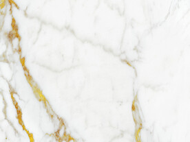 高档 新金线鱼肚白 tIF合层