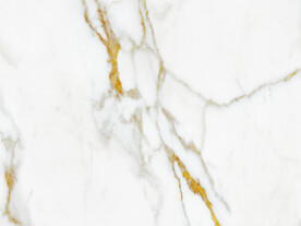 高清 新金线鱼肚白 tIF合层