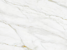 现代 新金线鱼肚白 tIF合层