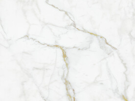 人气 新金线鱼肚白 tIF合层