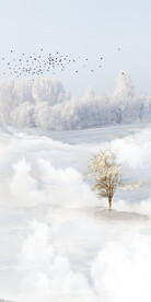 最新 玄关新高档画 TiF分层