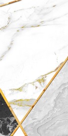 奢雅 清晰欧式玄关 TIF分层