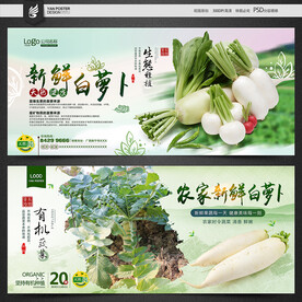 白萝卜