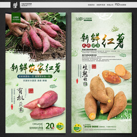 红薯