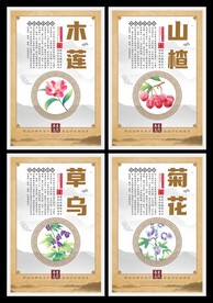 四季养生海报系列