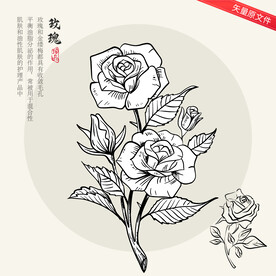 玫瑰花线稿