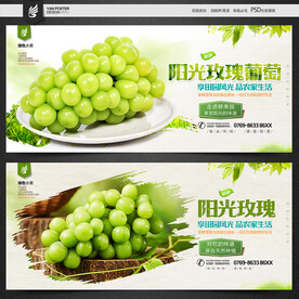 阳光玫瑰