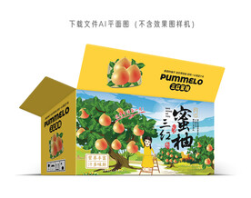 三红蜜柚包装
