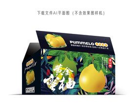 黄金蜜柚包装