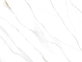 新传 新中式雅士白 TIF合层