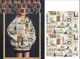 大牌花  卫衣女装   报纸