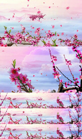 桃花背景视频