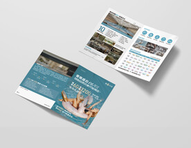 游泳健身预售折页图片