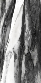 爵士白 鱼肚白高清大理石瓷砖