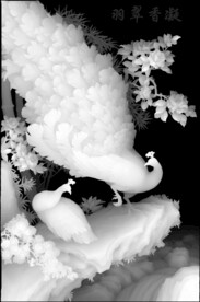 孔雀牡丹