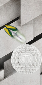 清晰 最新大气玄关 TiF分层