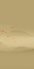 爆款 最新高雅玄关 TIF分层