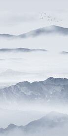 新品 现代高端玄关 tif分层