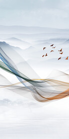 高端 新传清晰玄关 TiF分层