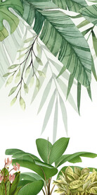 大气 最新欧式玄关 TIf分层