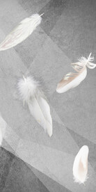 大气 高雅欧式玄关 TIf分层