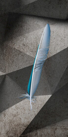 人气 高雅欧式玄关 TIf分层