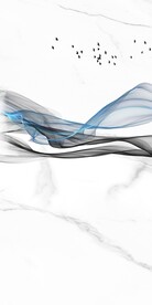 高雅 高档新款玄关 TiF分层