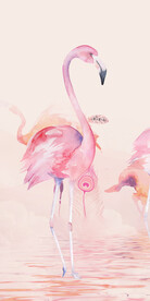 新款 欧式高清玄关 TiF分层