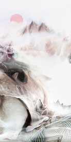 高档 高清新画玄关 Tif分层