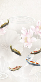 高端 欧式清晰玄关 TiF分层