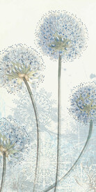 现代 欧式清晰玄关 TiF分层