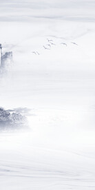 新传 新品大气玄关 TiF分层