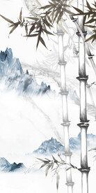 奢雅 大气简约玄关 TiF分层