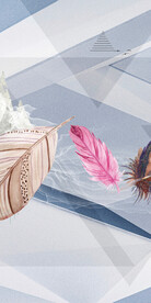 新传 新品欧式玄关 Tif分层