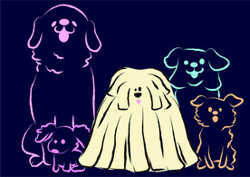 小狗和它的朋友们