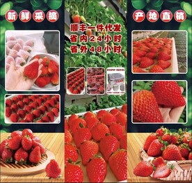 草莓海报