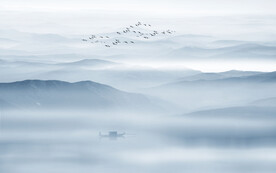 新中式意境水墨画背景墙