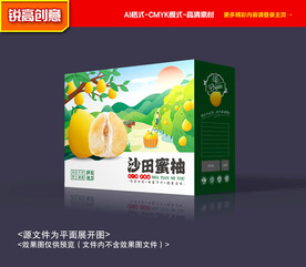 柚子礼盒 蜜柚包装